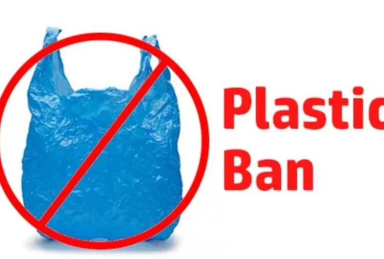 plastic-ban_1541045704 (1)