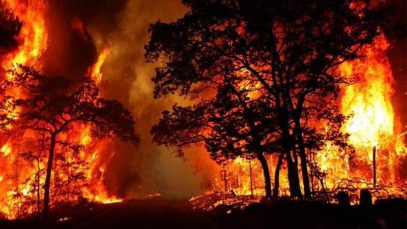 Uttarakhand-fire-rep