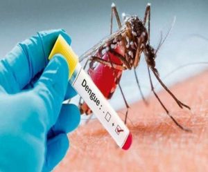 17_10_2021-dengue-cases-jammu-kashmir_22121060