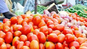 vegetable_market_1634488150 (1)