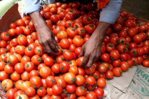 Coronavirus Emergency In Kolkata