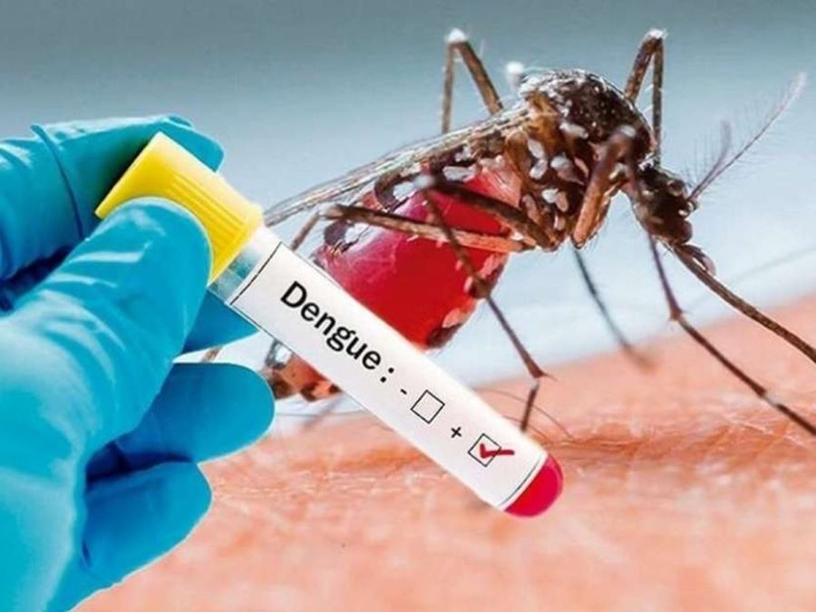 orig_dengue5116891835x547-m1628581667_1633560709