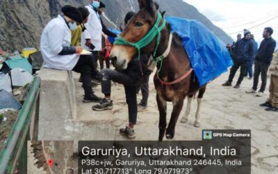 मंत्री बहुगुणा ने केदारनाथ यात्रा हेतु घोड़ा‑खच्चर स्वास्थ्य जांच के निर्देश दिए