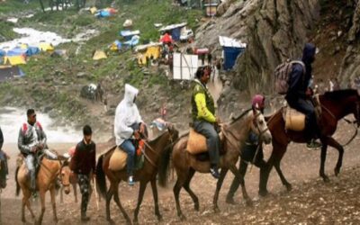 केदारनाथ में 24 घंटे के लिए घोड़े-खच्चरों पर रोक, 14 घोड़े-खच्चरों की मौत
