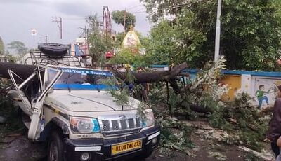 देहरादून चकराता रोड पर हादसा…चलती गाड़ी पर गिरा बड़ा पेड़, एक सवारी की मौत, कई घायल